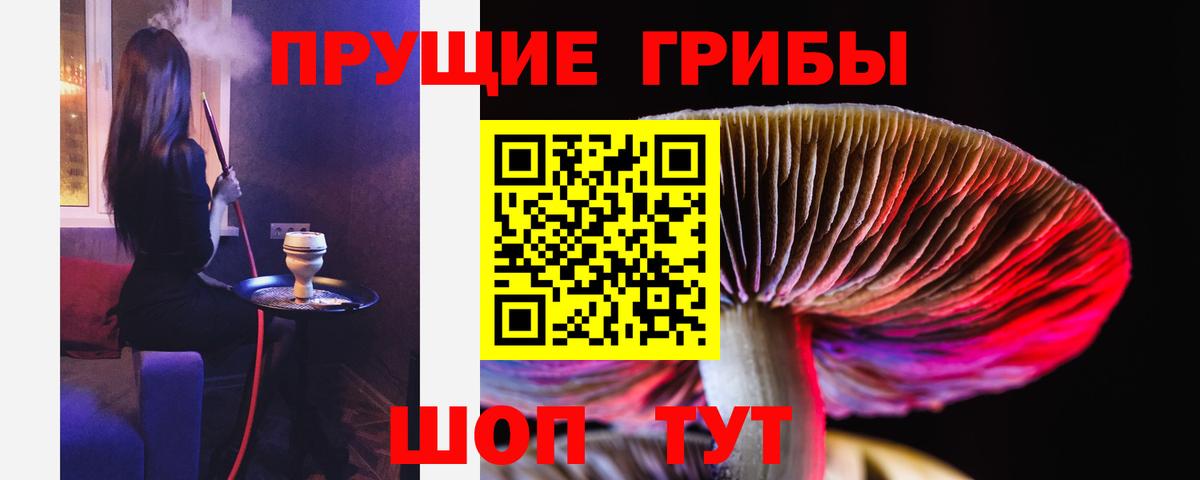 Электрогорск  Галлюциногенные грибы Magic Shrooms  Вход с VPN 
