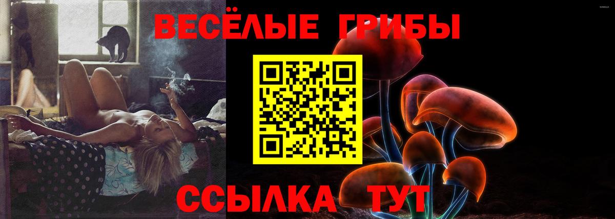 Псилоцибиновые грибы MAGIC MUSHROOMS Электрогорск
